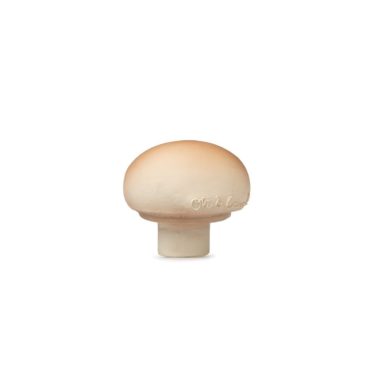 Manolo the mushroom