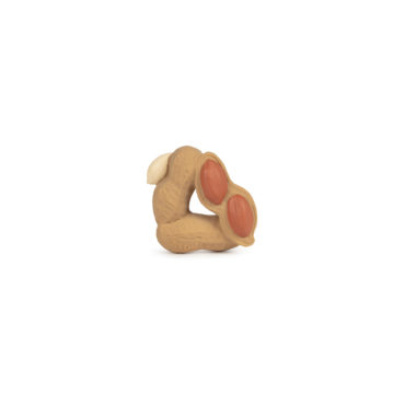 paco-the-peanut