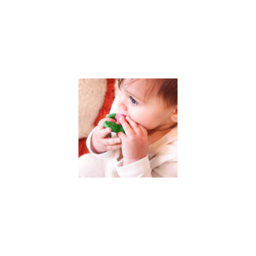 ramonita-the-radish (2)